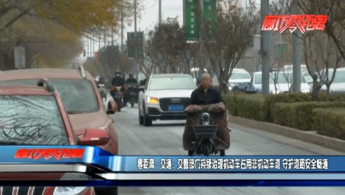 交警嚴管與源頭治理雙管齊下，守護道路安全暢通